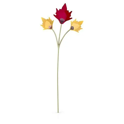 Produktbild: Swarovski Garden Tales Herbstblätter, Kristallblätter aus Goldgelben und Roten Kristallen