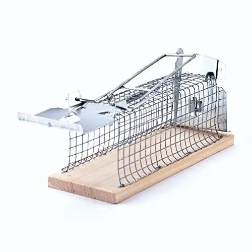 Produktbild: SWISSINNO Mäuse Lebendfalle – Wiederverwendbare Mauskäfig-Falle aus Holz und Metall – Für Innen- und Außenbereiche – Sichtkontrolle ohne Öffnen – 1 Stück