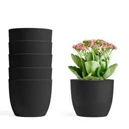 Produktbild: T4U 12cm übertöpfe für zimmerpflanzen 6 Stück, Blumentopf Plastik Klein Ideal für Innen und Draussen, Übertopf Schwarz für Orchideen Basilikum und Kräuter, Kleine Blumentöpfe für Alle Zimmerpflanzen