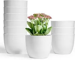 Produktbild: T4U 12cm übertöpfe für zimmerpflanzen 10 Stück, Blumentopf Plastik Klein Set Ideal für Innen und Draussen, Übertopf weiß für Orchideen Basilikum und Kräuter, Kleine Blumentöpfe für Alle Zimmerpflanzen