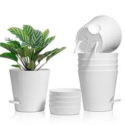 Produktbild: T4U 16,5cm Kunststoff Blumentopf mit Bewässerungssystem, 6er-Set Selbstbewässerung Übertopf mit Untersetzer, Rund Pflanzkübel für Innen und Balkon Garten Pflanzen Sukkulenten Kaktus, Weiß
