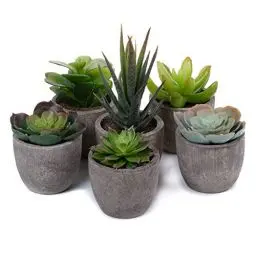 Produktbild: T4U 6er Set Klein Kunstpflanze Sukkulenten Künstlich Dekorative Kunstpflanzen wie echt Pflanzen mit Topf, Deko Fake Plant für Hochzeit Büro Zuhause Wohnung Wohnzimmer Badezimmer Dekoration
