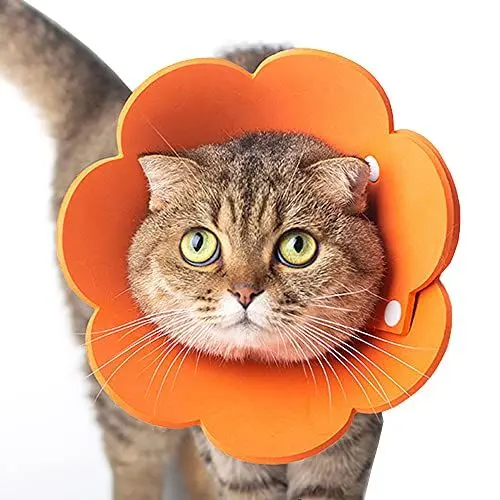 Produktbild: Tecatty Haustier Halskrausen Antilecker Halskragenkatze Verstellbar von 14-35 cm Leichtgewicht Schutzkragen Elizabethan Halsband Halskrausen für Katzen (M, Orange)