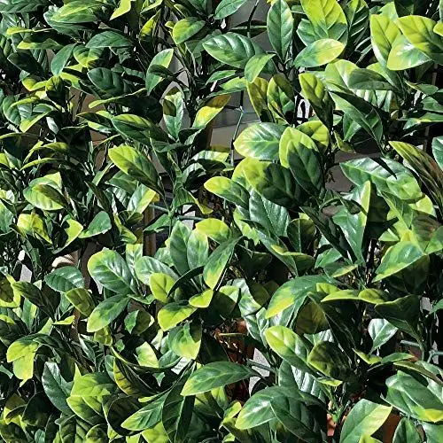 Produktbild: TENAX Divy 3D Plus Laurus 1,50x3 m Grün, Synthetische Hecke aus Lorbeerblättern auf Kunststoffgitter, Abschirmung von Gärten, Balkonen und Terrassen