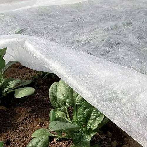 Produktbild: TENAX Ortoclima Plus Kälteschutzvlies 1,60x500 m Weiß, in Rolle, Winterfrostschutzvlies für Pflanzen und Kulturen, aus Vliesstoff 30 g/m², schützt Pflanzen, Blumen und Gemüse vor Kälte, Frost und Wind