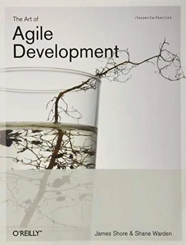 Produktbild: The Art of Agile Development