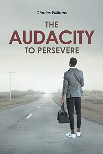 Produktbild: The Audacity To Persevere