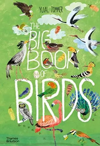 Produktbild: The Big Book of Birds