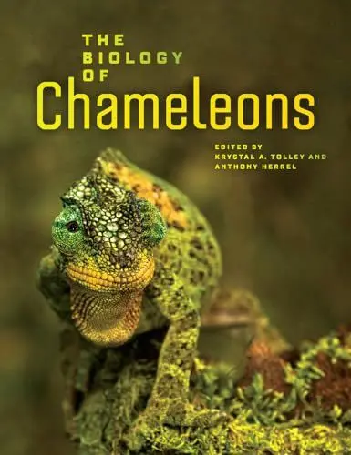 Produktbild: The Biology of Chameleons