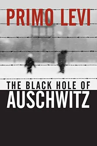 Produktbild: The Black Hole of Auschwitz