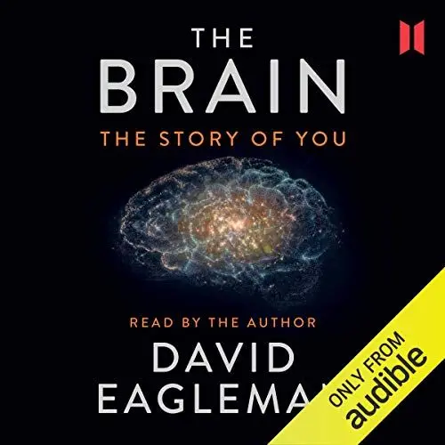 Produktbild: The Brain: The Story of You
