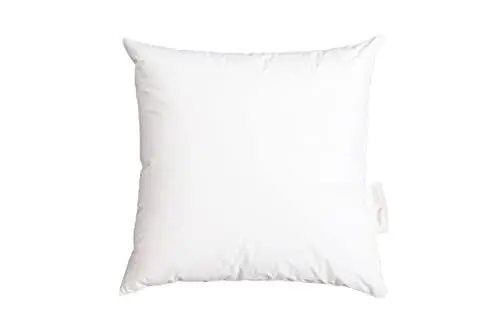 Produktbild: The Dream Company - Kopfkissen 40x40 cm Nova Komfort, Niedriges Kissen, Bettkissen, Hochwertige Daunenfüllung, Füllgewicht 250 g, Öko-Tex Standard 100, Weiß