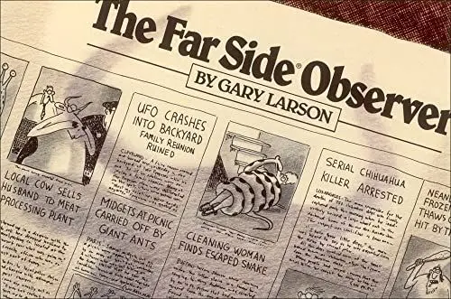 Produktbild: The Far Side Observer: Volume 10