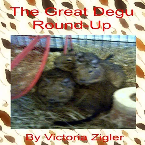 Produktbild: The Great Degu Round-Up: Degu Days Duo, Volume 1