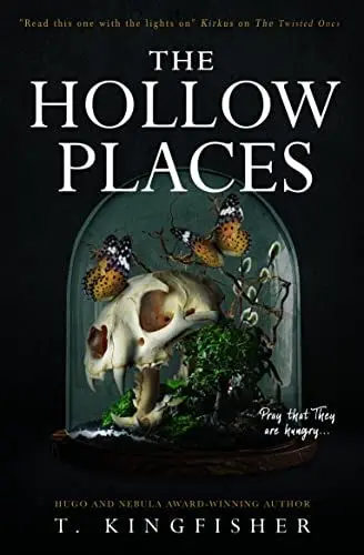 Produktbild: The Hollow Places
