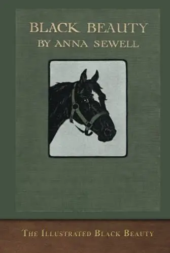 Produktbild: The Illustrated Black Beauty: 100 Illustrations