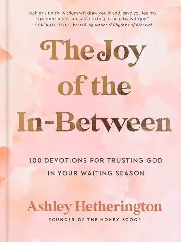 Produktbild: The Joy of the In-Between: 100 Devotions for Trusting God in Your Waiting Season: A Devotional
