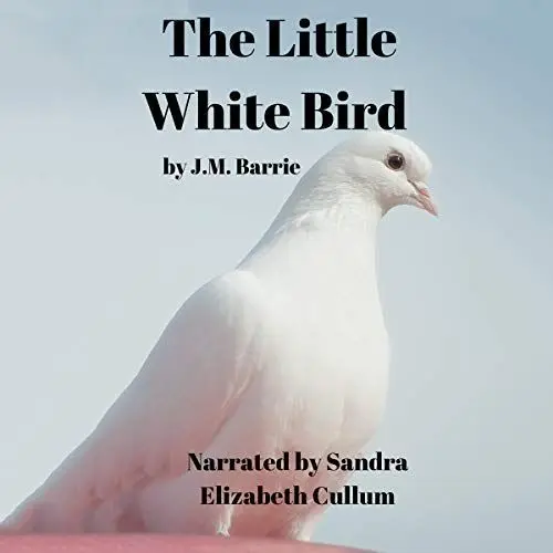 Produktbild: The Little White Bird