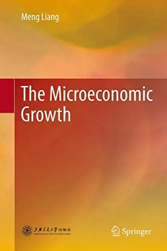 Produktbild: The Microeconomic Growth