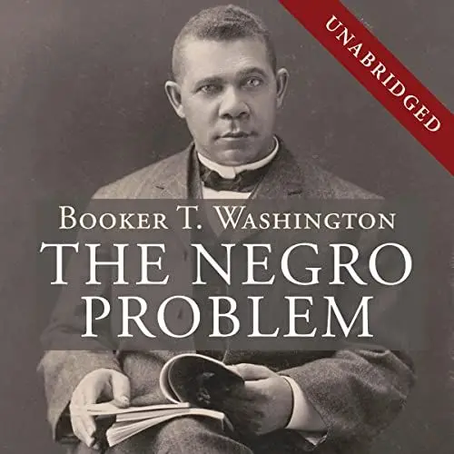 Produktbild: The Negro Problem
