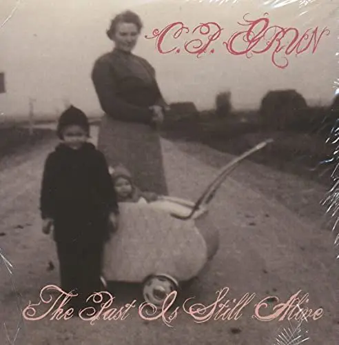 Produktbild: The Past Is Still Alive (CD)