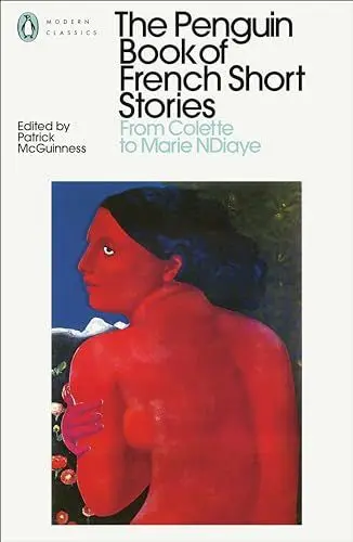 Produktbild: The Penguin Book of French Short Stories: 2: From Colette to Marie NDiaye (Penguin Modern Classics)