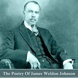 Produktbild: The Poetry of James Weldon Johnson