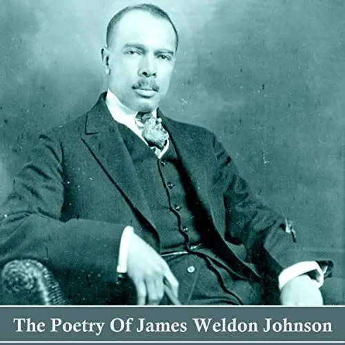Produktbild: The Poetry of James Weldon Johnson