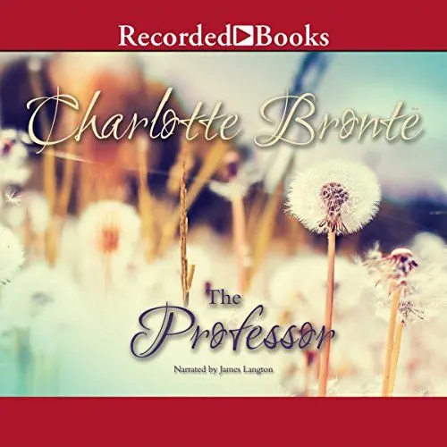 Produktbild: The Professor