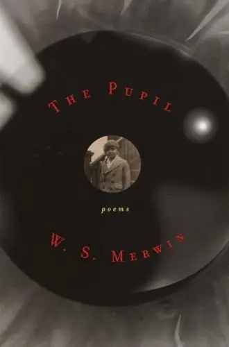 Produktbild: The Pupil: Poems