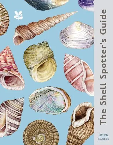 Produktbild: The Shell Spotter’s Guide: Every shell has a story to tell. Discover the secrets of these treasures of the sea (National Trust)