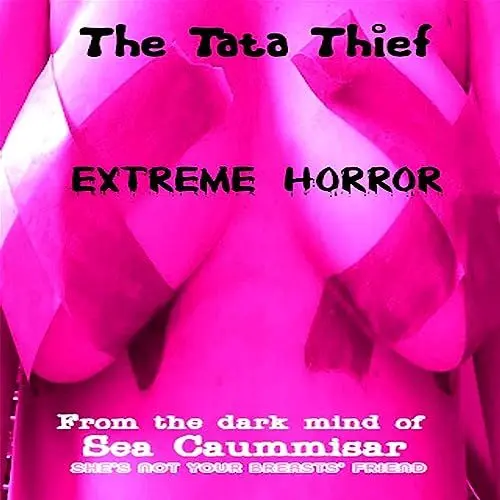 Produktbild: The Tata Thief