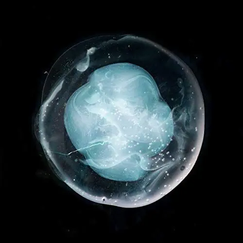 Produktbild: The Undivided Five