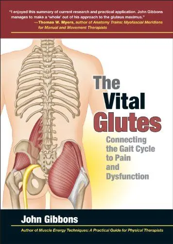Produktbild: The Vital Glutes: Connecting the Gait Cycle to Pain and Dysfunction
