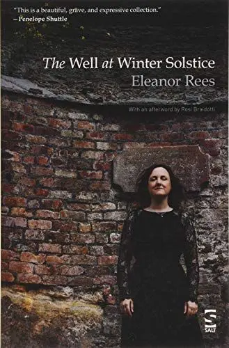 Produktbild: The Well at Winter Solstice (Salt Modern Poets)