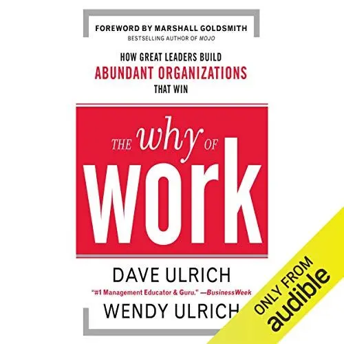 Produktbild: The Why of Work: How Great Leaders Build Abundant Organizations that Win