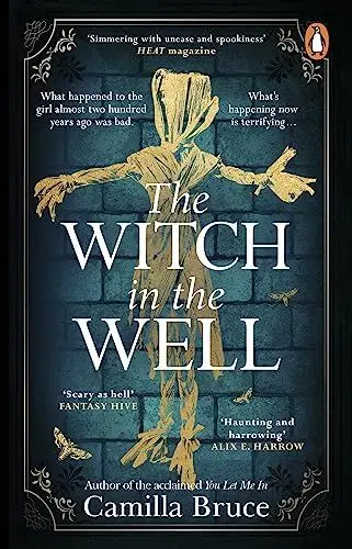 Produktbild: The Witch in the Well: A deliciously disturbing Gothic tale of a revenge reaching out across the years