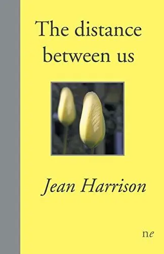 Produktbild: The distance between us