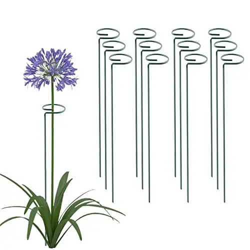 Produktbild: Thealyn 12 Stück 40,6 cm Pflanzenstützstäbe, Metall, einstielige Blumenstützreifen, Gartenpflanzen, Pflanzenrequisite für Amaryllis, Orchidee, Lilie, Rose, Pfingstrose, Tomaten, Gladiolen