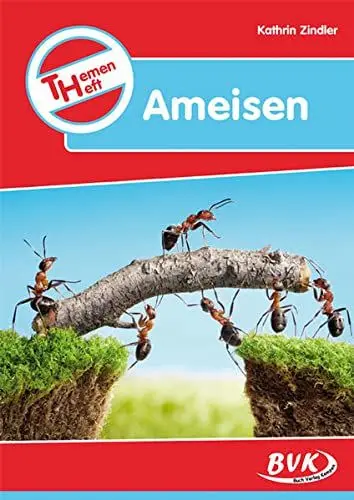 Produktbild: Themenheft 