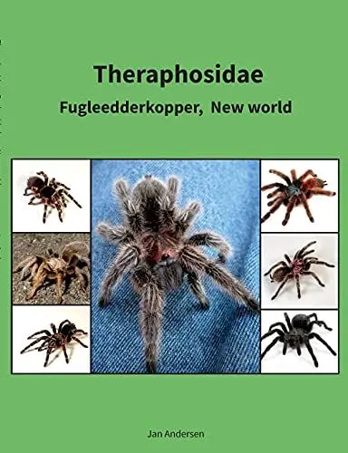 Produktbild: Theraphosidae: Fugleedderkopper, New world