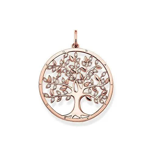 Produktbild: Thomas Sabo Damen Medaillon - PE759-416-14