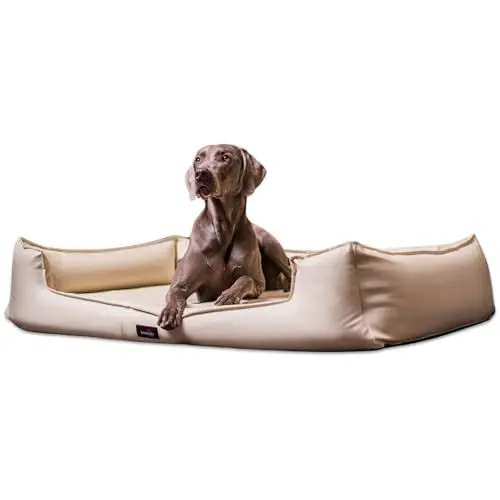Produktbild: tierlando® Goofy Easy CLEAN – Orthopädisches Hundebett aus Kunstleder mit Matratzenschoner – für mittelgroße und große Hunde Größe: 110x90cm Farbe: 05 Creme