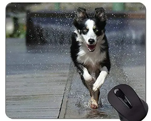 Produktbild: YENDOSTEEN Tierlaub-Schäferhund-Herbst druckte Mausunterlage, Border-Collie-personalisierte Rechteck-Spiel-Mausunterlagen