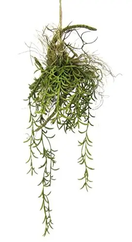 Produktbild: Tillandsia Hänger auf Ast Künstlicher Moos Hänger Hängeampel Grünpflanze Kunstpflanze Pflanze Zimmerpflanze Seidenblumen Dekopflanze Deko Isländischer Kunstmoos Hängende Girlande Busch Sträucher