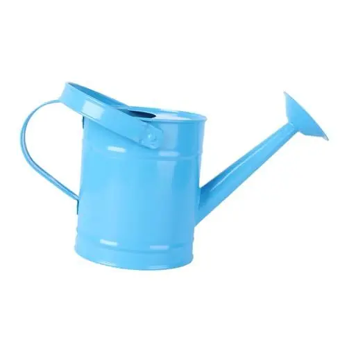 Produktbild: TINEASUR 15L Eisen Gießkanne Tragbare Gießkanne Für Gartenkunst Blumendose Kinder Strandspielzeug Hof Garten Zufällige Farbe