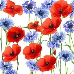 Produktbild: Tischdeko 20 Stück Serviette Cocktail Mohnblumen Blumenwiese Sommer