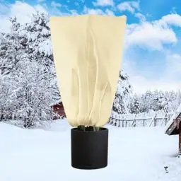 Produktbild: Tobengda Winterschutz-für-Pflanzen-Frostschutz-280x300cm, Palmen Winterschutz 80g/m² Vliesstoff Beige Pflanzenschutz Winter für Pflanzen Palme Zitronenbaum KüBelpflanzen