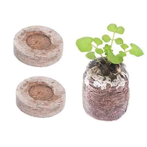 Produktbild: Toddmomy 10st Starter Torf Maße Drinnen Abmessungen Setzling Torfpellets Torfboden Phyto Sämlingserde Samen Starterpalette Planta Anlage Komprimiert Starterdstopfen Pflanze Sämlingsschlamm