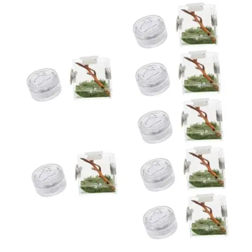 Produktbild: Toddmomy 7Er-Box Springspinnen-Zuchtbox Zuchtträger Spinnengehege Gehege für Stabheuschrecken Reptil Spinnenhaltungsbox Kleine Spinnenbox gehäuse Spinnenlebensraumhalter Spinnenhaus Holz